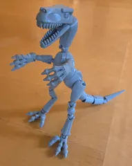 Articulated Dinosaur Skeleton Model