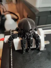 Cute Mini Octopus