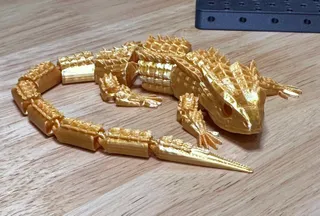 Red-Eyed Crocodile Skink