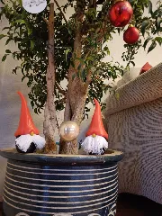 Bearded Christmas gnome