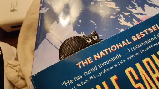 Cat bookmark