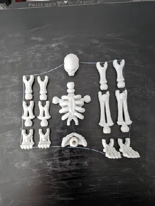 poseable skeleton by Jakub Bulacz | Download free STL model ...