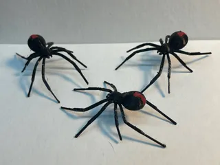 Dual Color Spider