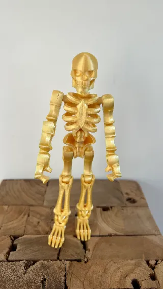 poseable skeleton by Jakub Bulacz | Download free STL model ...