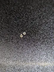 M1.6 Bolt and Nut