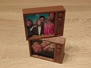 Irreverent Television Frame