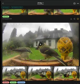 Image preview