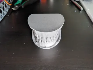Dental Mandible / Maxilla Model for Brushing and Flossing Education