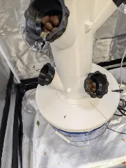 Modular Hydroponic Tower Bucket Lid with no Glue or Bolts
