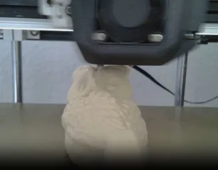 Owl hook
