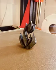 Tulip Decor