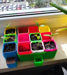 Small Self-Watering Seed Starter