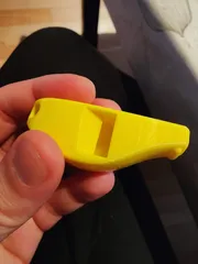 V29 whistle