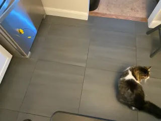 Image preview