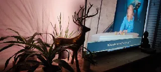 Holiday Christmas Deer