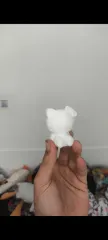 hello kitty remix