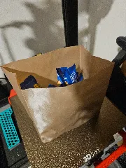 Paperbags (spiral vase mode print)