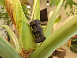 EDC Container Box Capsule + O Ring