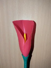 Spiral Vase Calla Lily