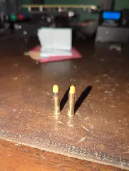 Snap Cap .22LR insert