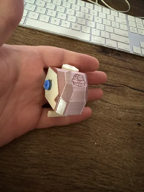 Make of Box Turtle Calibration Fidget by Robert_Klotz | Download free ...