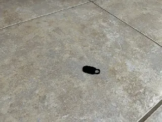 Strawberry Stem Remover