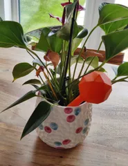Self Watering Plant Bulb (several sizes)