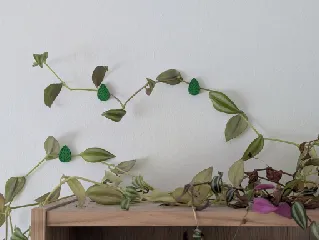 Plant Clip for wall/ceiling mount
