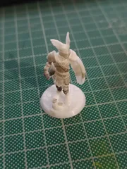 Paladin Dnd 32mm