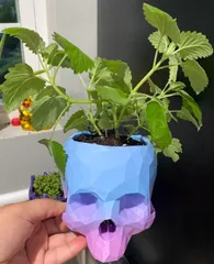 Skull Low Poly - Pot Plant/Pen Holder