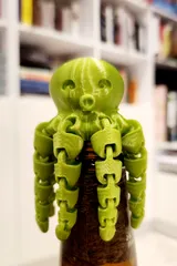 Cute Mini Octopus