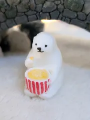 KUMATY : Polar Bear Eating Popcorn