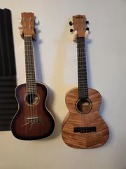 Wall mount for Ukulele