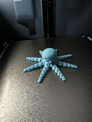 Cute Mini Octopus