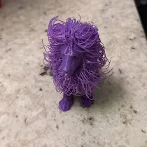 The Hairy Lion