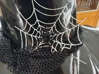 Black House Spider For Halloween