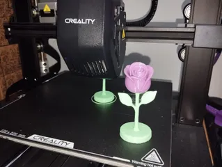 Rose – Paint-It-Yourself