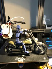 LUCKY 13 Printable Jointed Figure