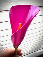 Spiral Vase Calla Lily