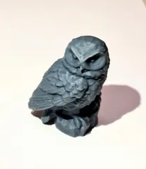 Snowy Owl (Hedwig) with flat bottom