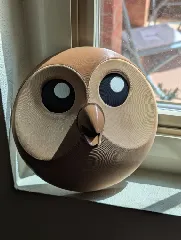 The Owl House - Hooty