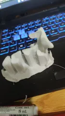 Single Extruder - Dual Color - Dutch Cow