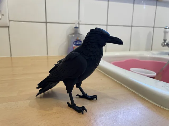 Preening (Puffing) Raven by Peter Farell | Download free STL model ...