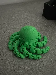 Cute Mini Octopus