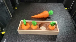 Carrot Garden Layered Fidget Toy