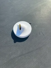 Intex Bestway nozzle angled design for a clean pool