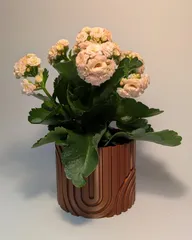 Sand Dune Plant pot and Planter - Vase mode design