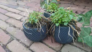 Modern spiral planter