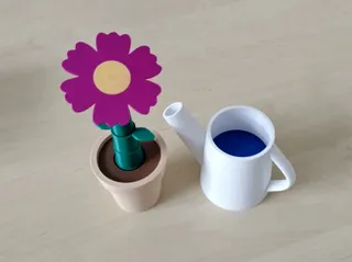 Potted Flowers with Watering Can