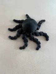 Cute Mini Octopus